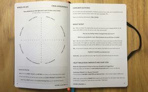 Wheel of life example